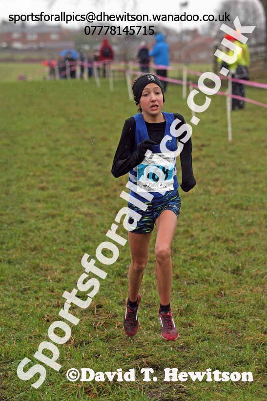 Girls under-13s North Eastern Cross Country, Sedgefield, County Durham. Photo: David T. Hewitson/Sports for All Pics